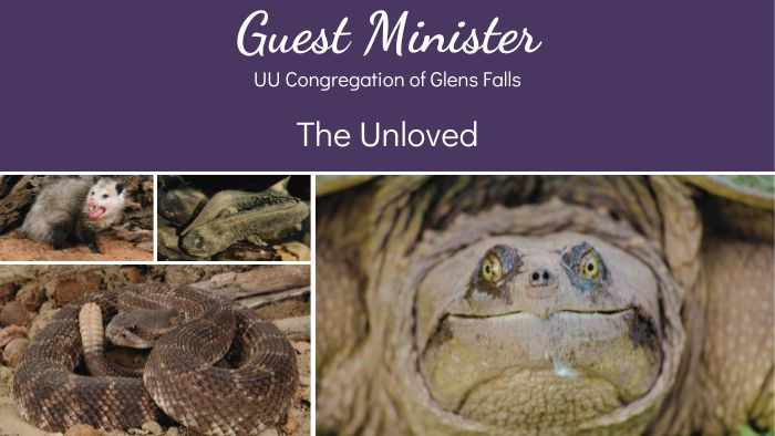 Guest Minister The Unloved (Small)