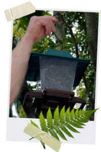 Hand hanging filled bird feeder