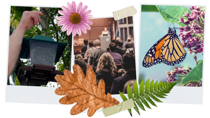 Collage showing hand hanging bird feeder, conference speaker in front of audience, and monarch butterfly on native flower as examples of an ecological caregiver
